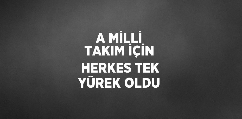 A MİLLİ TAKIM İÇİN HERKES TEK YÜREK OLDU