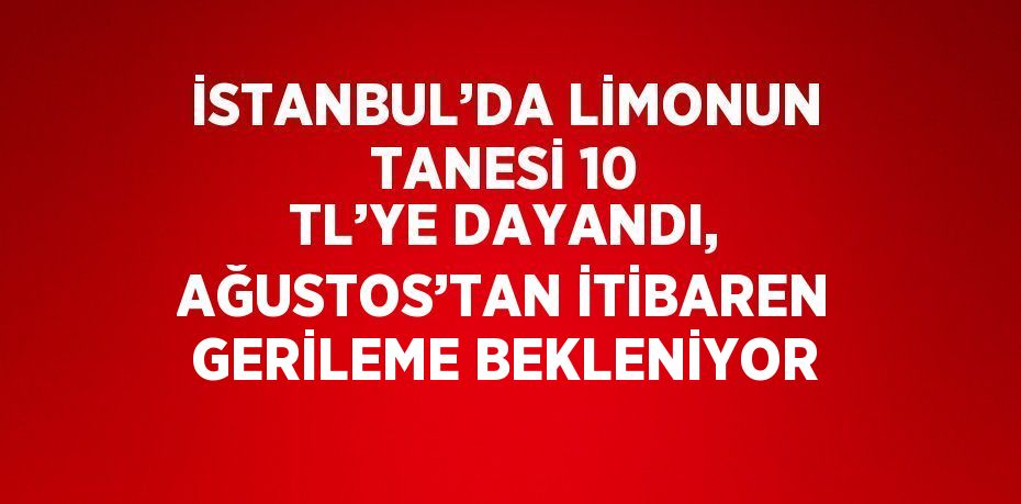 İSTANBUL’DA LİMONUN TANESİ 10 TL’YE DAYANDI, AĞUSTOS’TAN İTİBAREN GERİLEME BEKLENİYOR