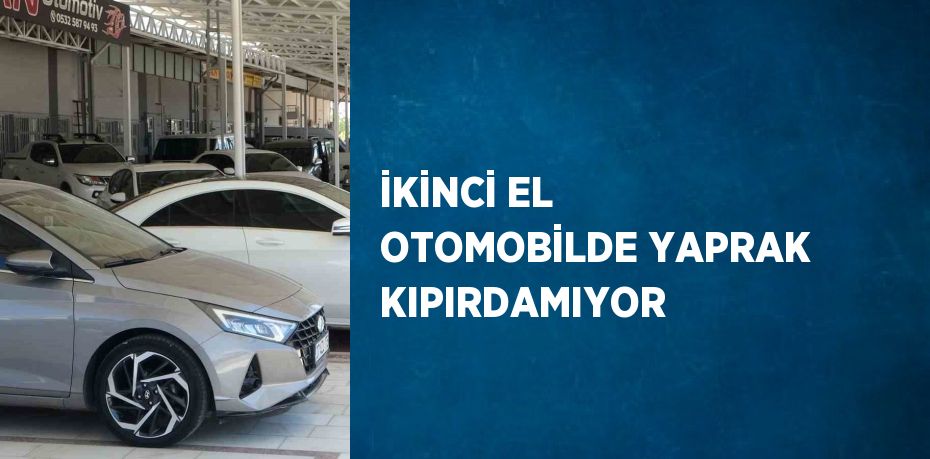 İKİNCİ EL OTOMOBİLDE YAPRAK KIPIRDAMIYOR