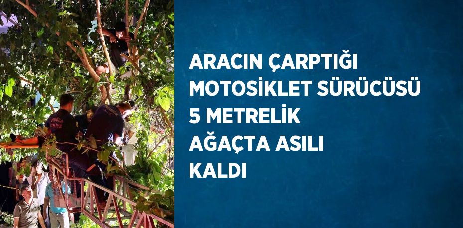 ARACIN ÇARPTIĞI MOTOSİKLET SÜRÜCÜSÜ 5 METRELİK AĞAÇTA ASILI KALDI