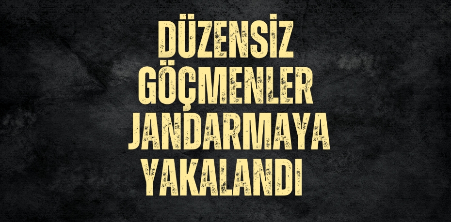 DÜZENSİZ GÖÇMENLER JANDARMAYA YAKALANDI