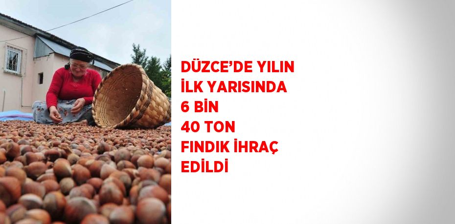 DÜZCE’DE YILIN İLK YARISINDA 6 BİN 40 TON FINDIK İHRAÇ EDİLDİ