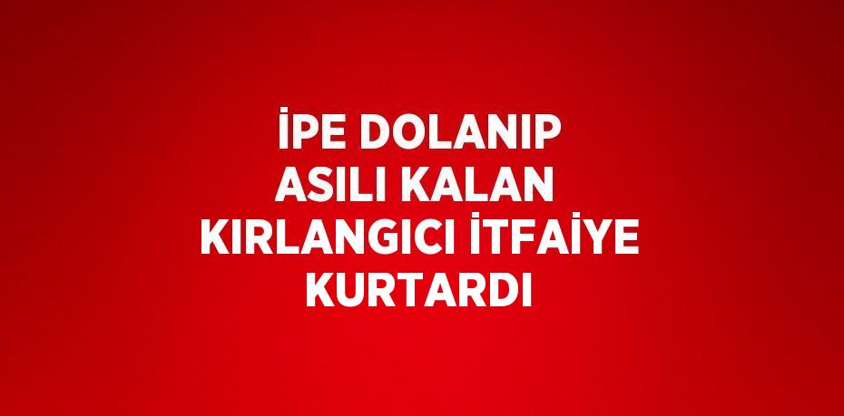 İPE DOLANIP ASILI KALAN KIRLANGICI İTFAİYE KURTARDI