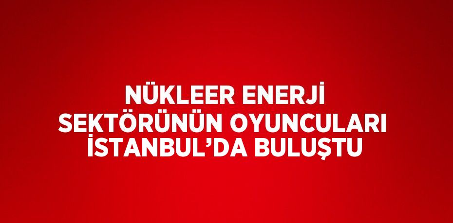 NÜKLEER ENERJİ SEKTÖRÜNÜN OYUNCULARI İSTANBUL’DA BULUŞTU