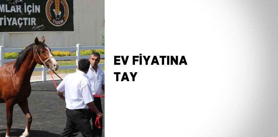 EV FİYATINA TAY