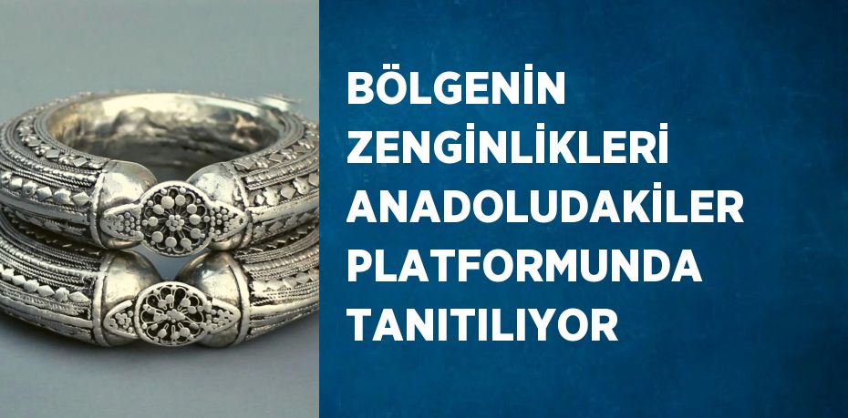 BÖLGENİN ZENGİNLİKLERİ ANADOLUDAKİLER PLATFORMUNDA TANITILIYOR