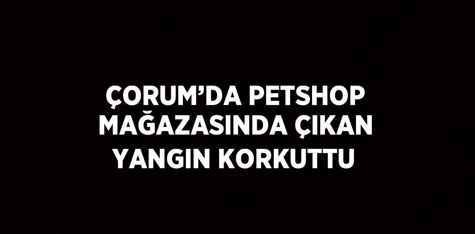 ÇORUM’DA PETSHOP MAĞAZASINDA ÇIKAN YANGIN KORKUTTU