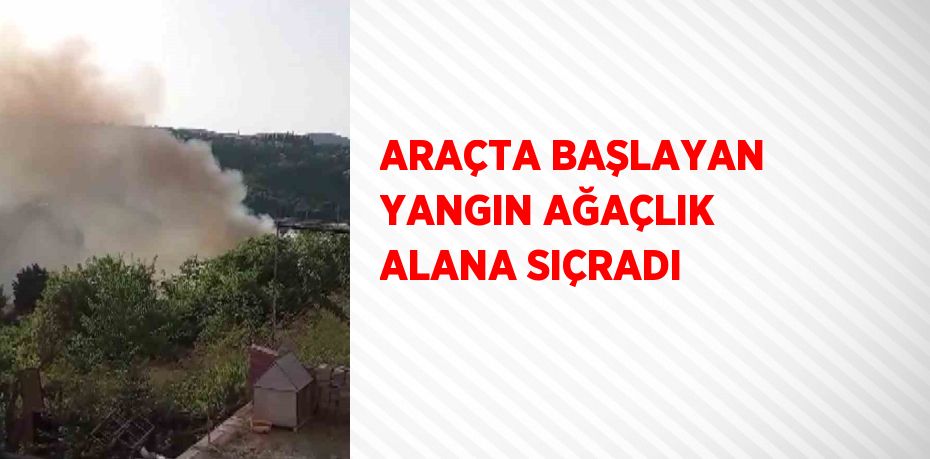 ARAÇTA BAŞLAYAN YANGIN AĞAÇLIK ALANA SIÇRADI