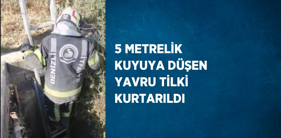 5 METRELİK KUYUYA DÜŞEN YAVRU TİLKİ KURTARILDI