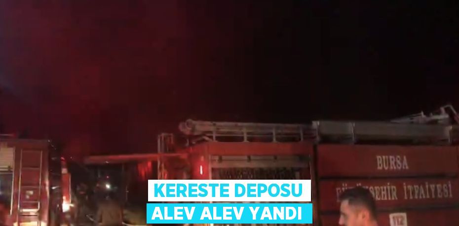 KERESTE DEPOSU ALEV ALEV YANDI