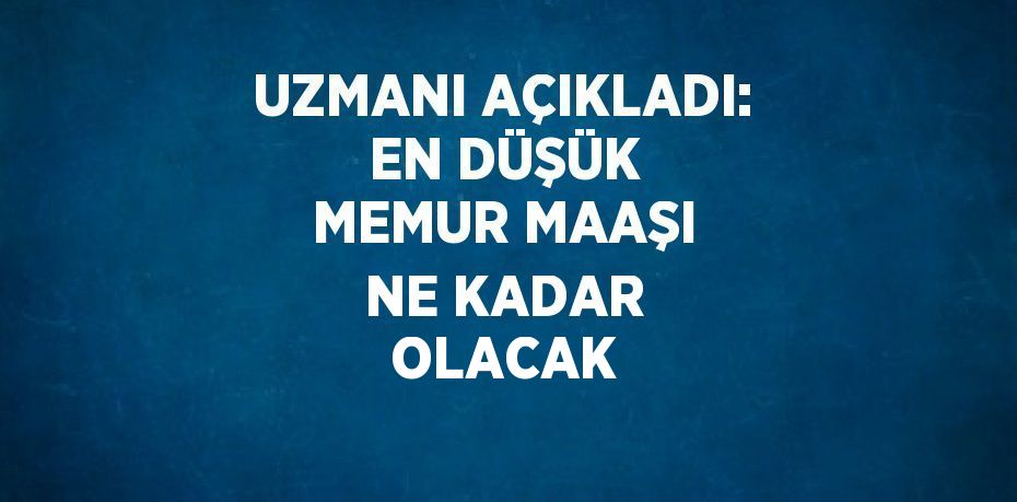 UZMANI AÇIKLADI: EN DÜŞÜK MEMUR MAAŞI NE KADAR OLACAK