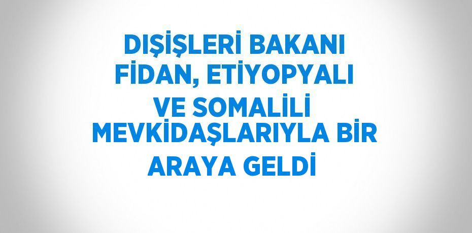 DIŞİŞLERİ BAKANI FİDAN, ETİYOPYALI VE SOMALİLİ MEVKİDAŞLARIYLA BİR ARAYA GELDİ