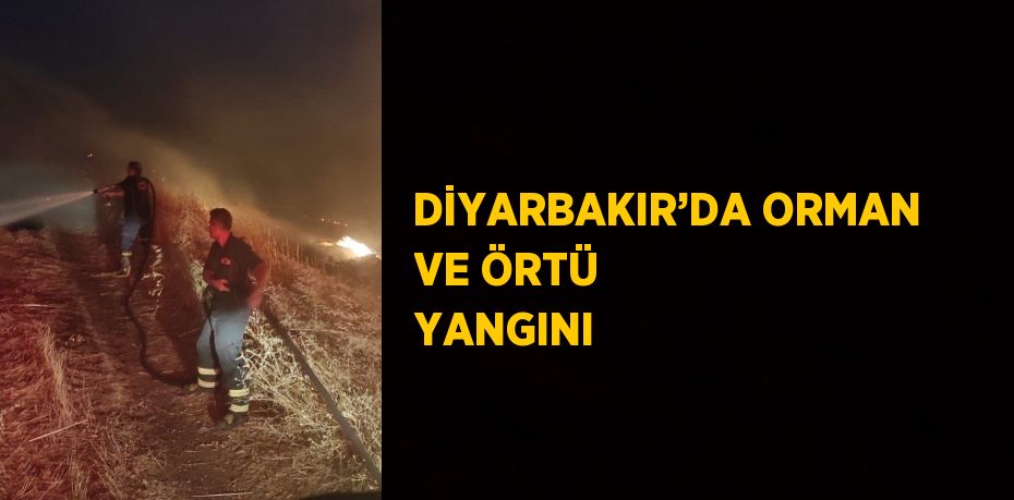 DİYARBAKIR’DA ORMAN VE ÖRTÜ YANGINI