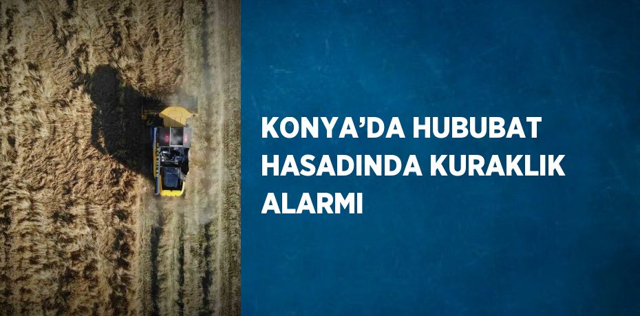 KONYA’DA HUBUBAT HASADINDA KURAKLIK ALARMI