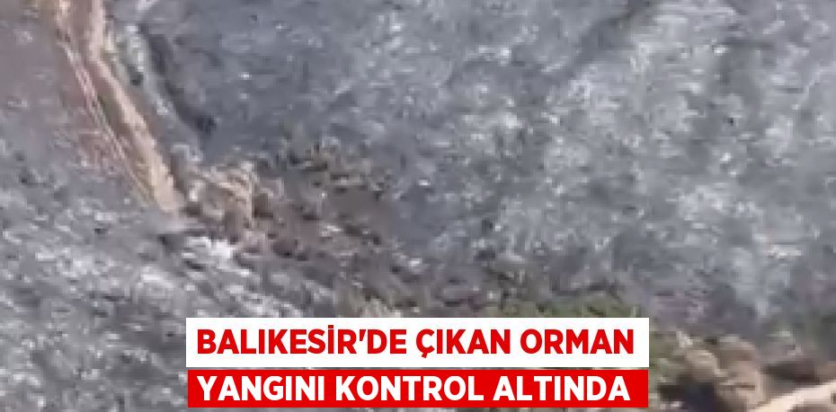 BALIKESİR'DE ÇIKAN ORMAN YANGINI KONTROL ALTINDA