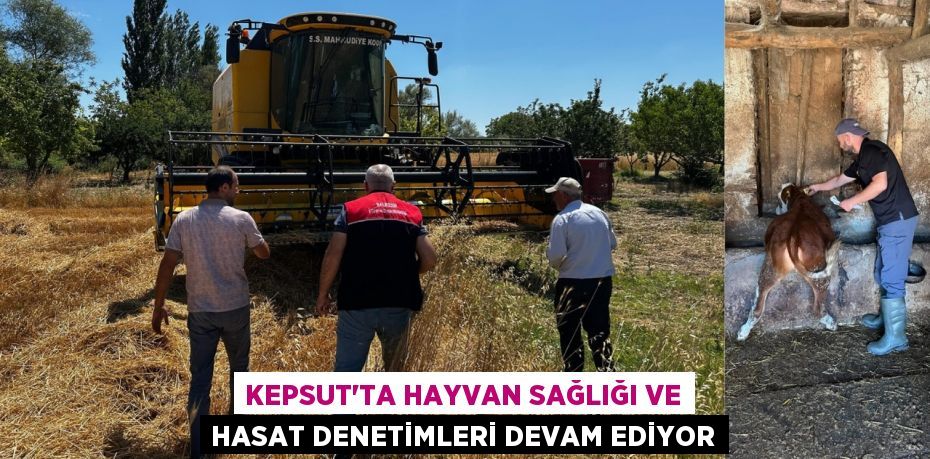 Kepsut’ta Hayvan Sağlığı ve Hasat Denetimleri Devam Ediyor