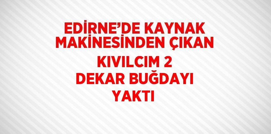 EDİRNE’DE KAYNAK MAKİNESİNDEN ÇIKAN KIVILCIM 2 DEKAR BUĞDAYI YAKTI