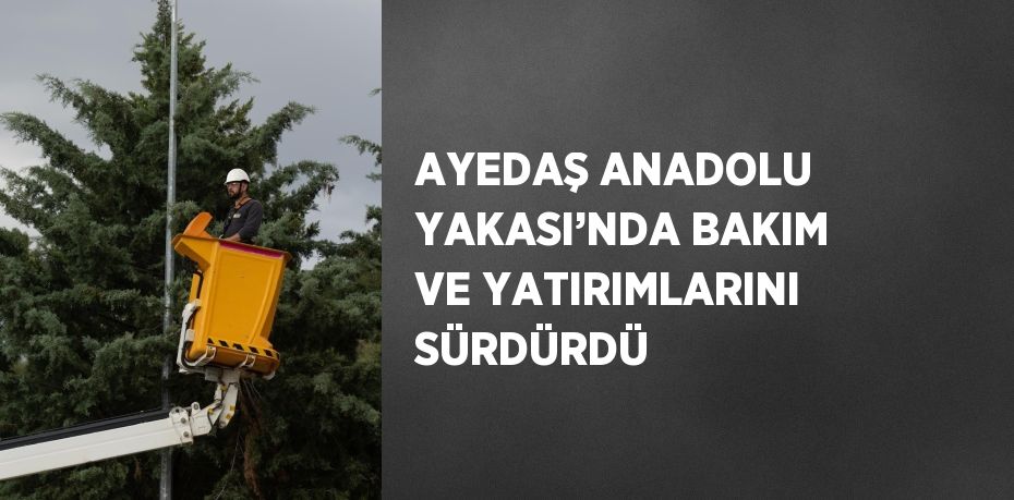 AYEDAŞ ANADOLU YAKASI’NDA BAKIM VE YATIRIMLARINI SÜRDÜRDÜ