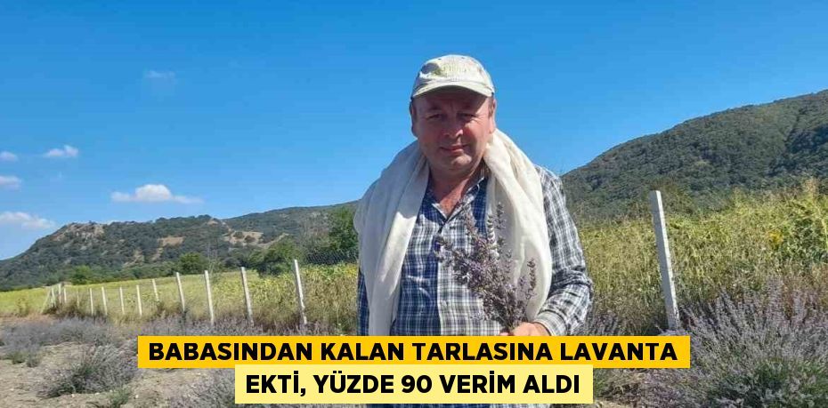 BABASINDAN KALAN TARLASINA LAVANTA EKTİ, YÜZDE 90 VERİM ALDI