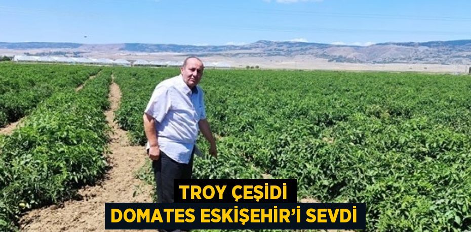 TROY ÇEŞİDİ DOMATES ESKİŞEHİR’İ SEVDİ