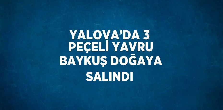 YALOVA’DA 3 PEÇELİ YAVRU BAYKUŞ DOĞAYA SALINDI