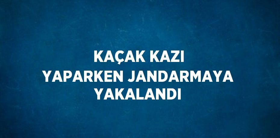 KAÇAK KAZI YAPARKEN JANDARMAYA YAKALANDI