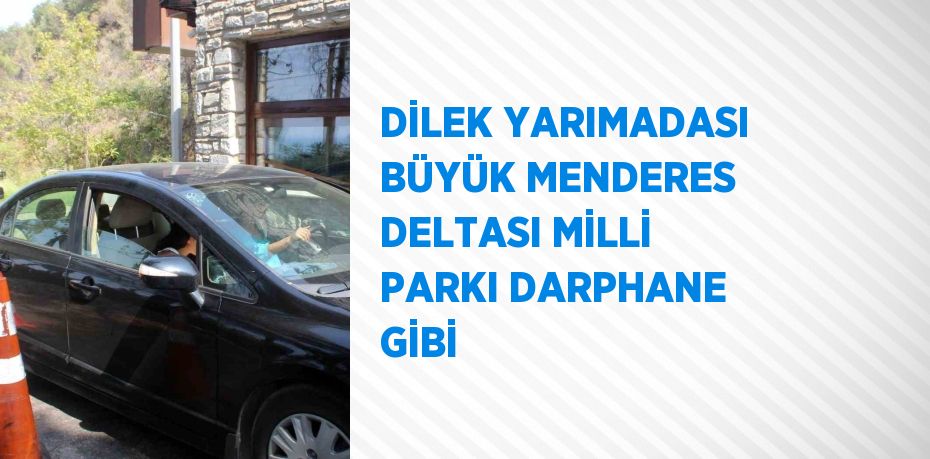 DİLEK YARIMADASI BÜYÜK MENDERES DELTASI MİLLİ PARKI DARPHANE GİBİ