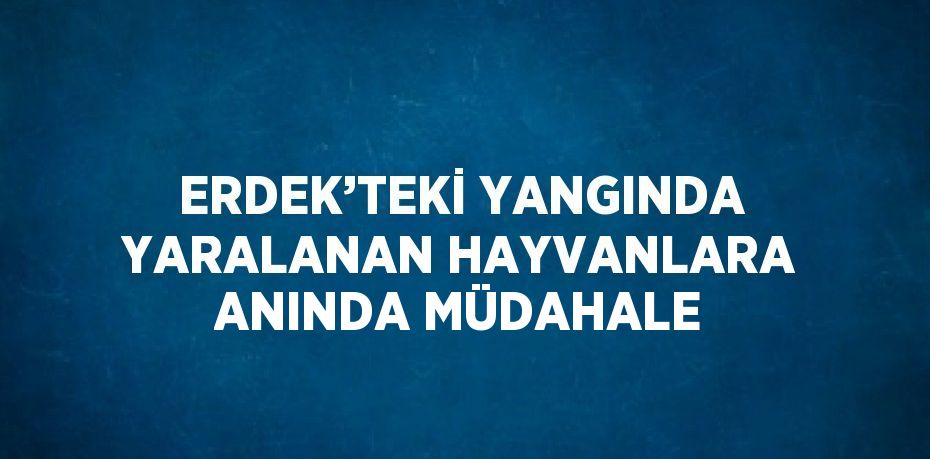 ERDEK’TEKİ YANGINDA YARALANAN HAYVANLARA ANINDA MÜDAHALE