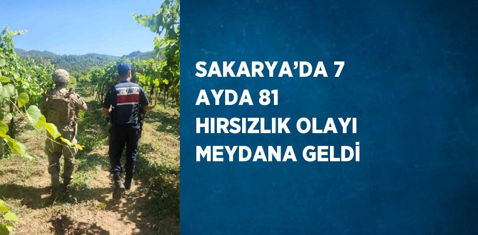 SAKARYA’DA 7 AYDA 81 HIRSIZLIK OLAYI MEYDANA GELDİ