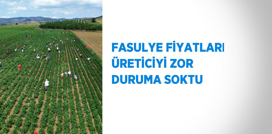 FASULYE FİYATLARI ÜRETİCİYİ ZOR DURUMA SOKTU