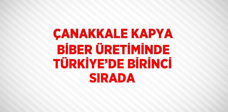 ÇANAKKALE KAPYA BİBER ÜRETİMİNDE TÜRKİYE’DE BİRİNCİ SIRADA