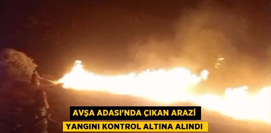 Avşa Adası’nda çıkan arazi yangını kontrol altına alındı