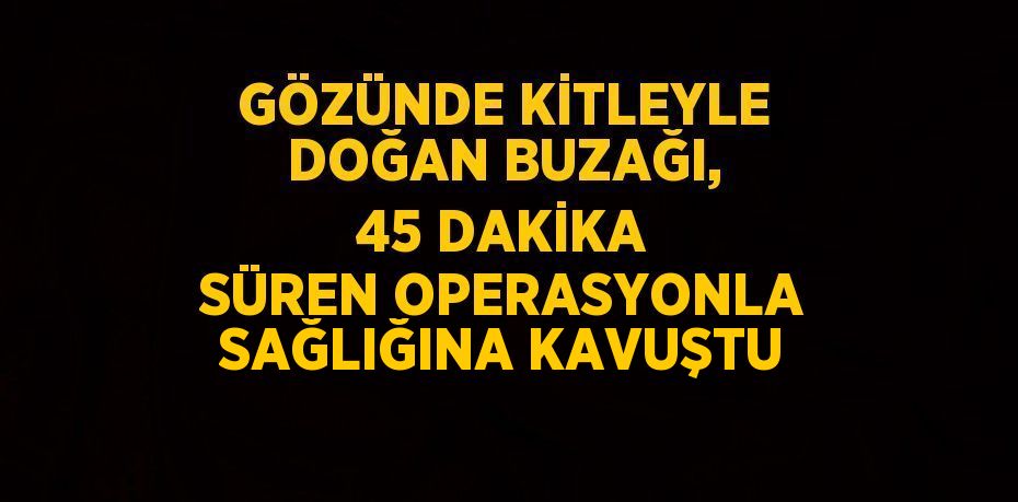 GÖZÜNDE KİTLEYLE DOĞAN BUZAĞI, 45 DAKİKA SÜREN OPERASYONLA SAĞLIĞINA KAVUŞTU