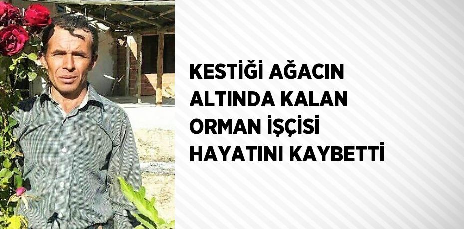 KESTİĞİ AĞACIN ALTINDA KALAN ORMAN İŞÇİSİ HAYATINI KAYBETTİ