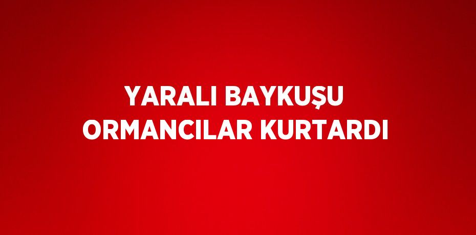 YARALI BAYKUŞU ORMANCILAR KURTARDI