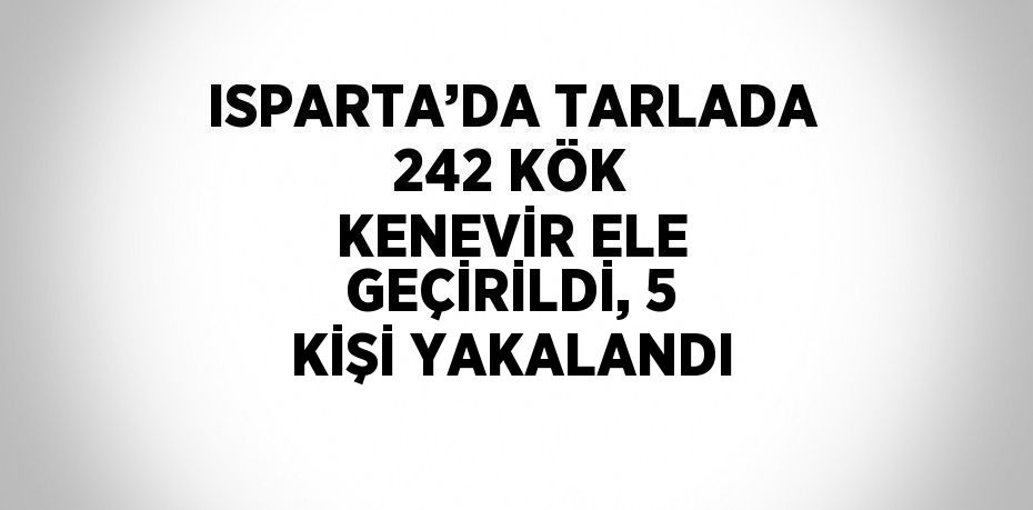 ISPARTA’DA TARLADA 242 KÖK KENEVİR ELE GEÇİRİLDİ, 5 KİŞİ YAKALANDI