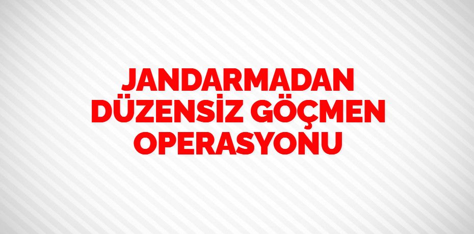 JANDARMADAN DÜZENSİZ GÖÇMEN OPERASYONU