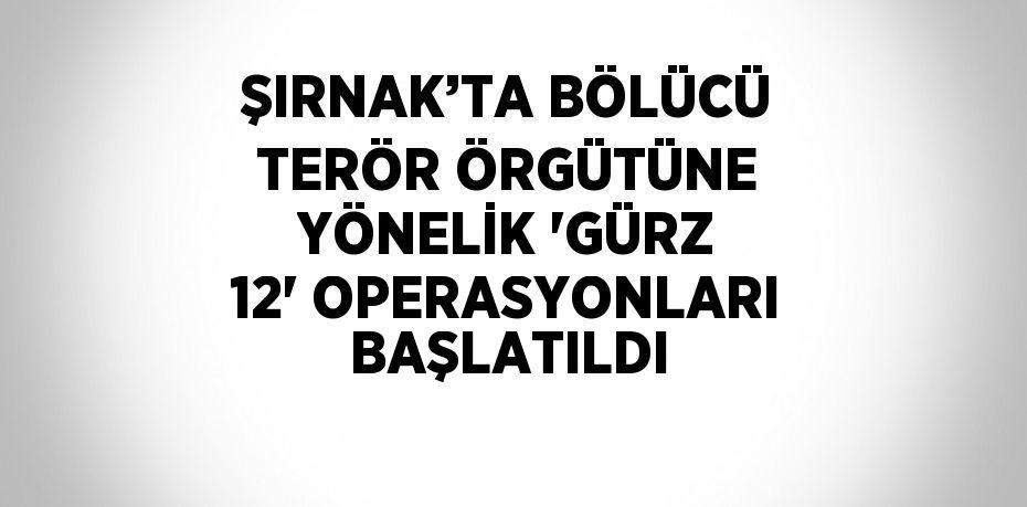 ŞIRNAK’TA BÖLÜCÜ TERÖR ÖRGÜTÜNE YÖNELİK 'GÜRZ 12' OPERASYONLARI BAŞLATILDI