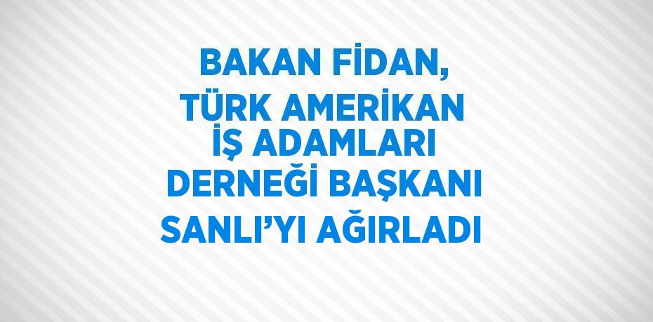 BAKAN FİDAN, TÜRK AMERİKAN İŞ ADAMLARI DERNEĞİ BAŞKANI SANLI’YI AĞIRLADI