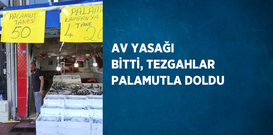 AV YASAĞI BİTTİ, TEZGAHLAR PALAMUTLA DOLDU