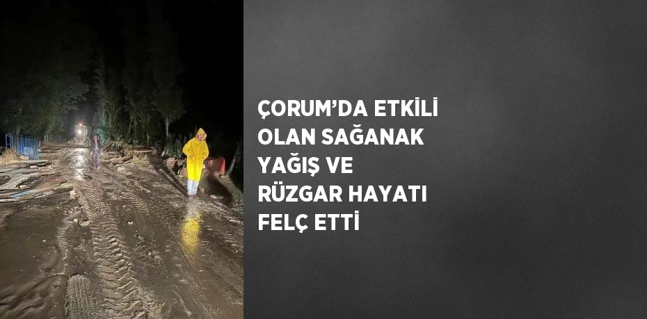 ÇORUM’DA ETKİLİ OLAN SAĞANAK YAĞIŞ VE RÜZGAR HAYATI FELÇ ETTİ