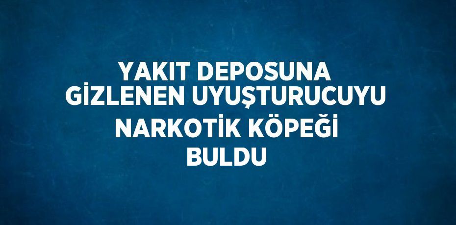 YAKIT DEPOSUNA GİZLENEN UYUŞTURUCUYU NARKOTİK KÖPEĞİ BULDU