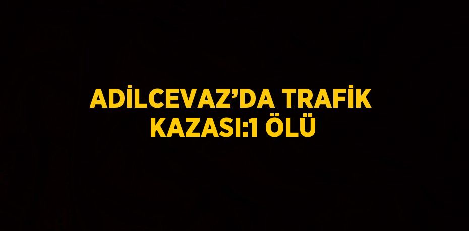 ADİLCEVAZ’DA TRAFİK KAZASI:1 ÖLÜ