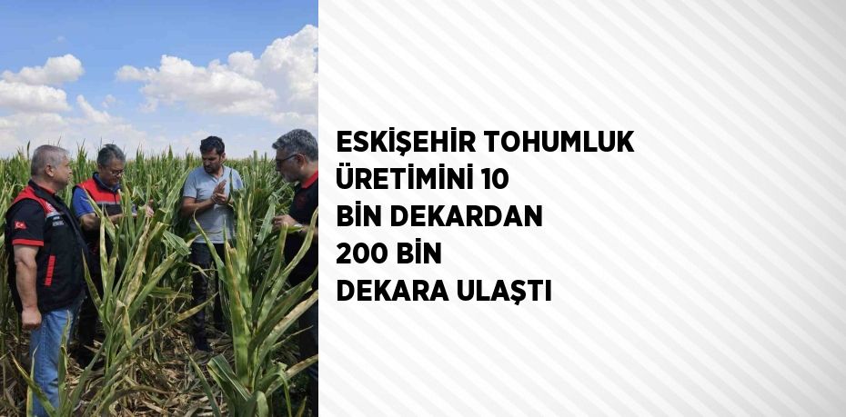 ESKİŞEHİR TOHUMLUK ÜRETİMİNİ 10 BİN DEKARDAN 200 BİN DEKARA ULAŞTI