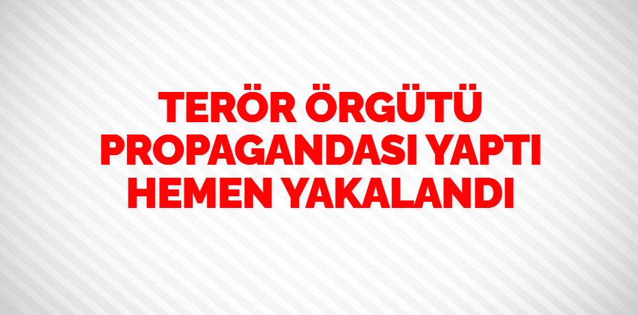 TERÖR ÖRGÜTÜ PROPAGANDASI YAPTI HEMEN YAKALANDI