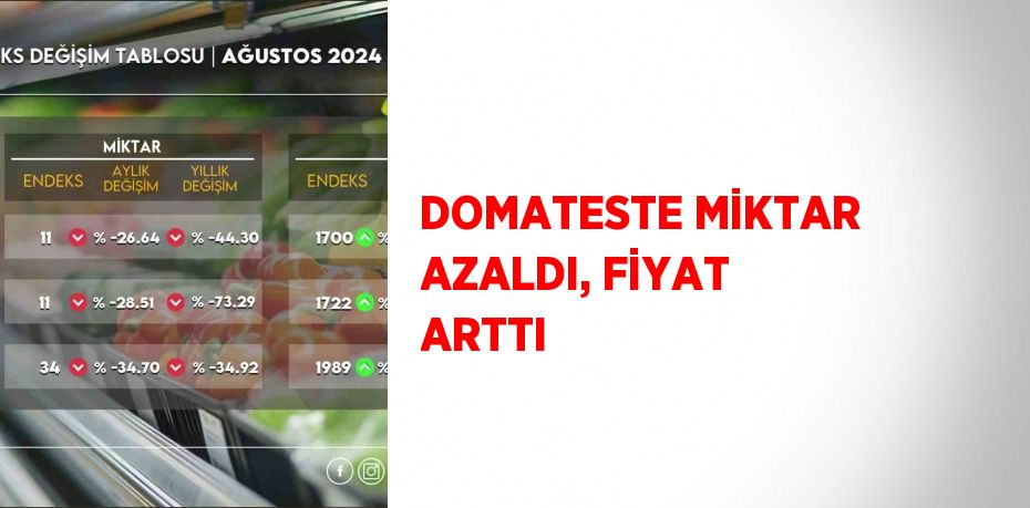 DOMATESTE MİKTAR AZALDI, FİYAT ARTTI