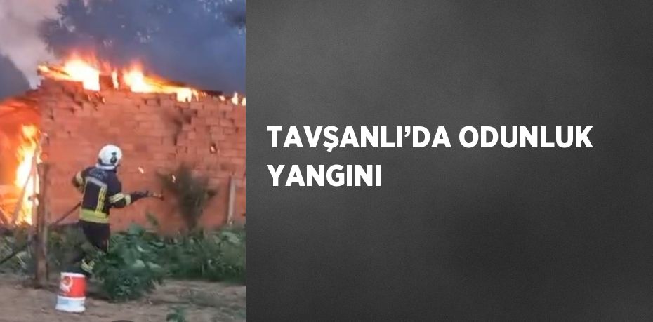 TAVŞANLI’DA ODUNLUK YANGINI