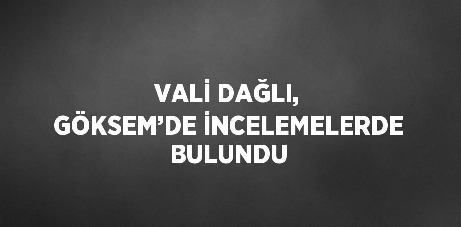 VALİ DAĞLI, GÖKSEM’DE İNCELEMELERDE BULUNDU