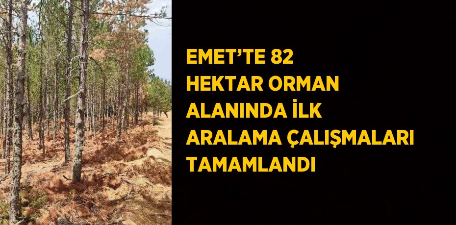 EMET’TE 82 HEKTAR ORMAN ALANINDA İLK ARALAMA ÇALIŞMALARI TAMAMLANDI