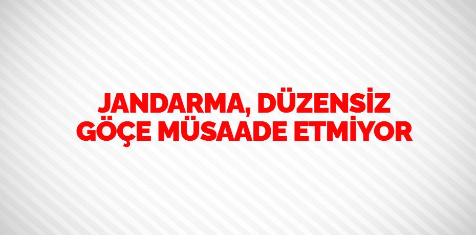 JANDARMA, DÜZENSİZ GÖÇE MÜSAADE ETMİYOR